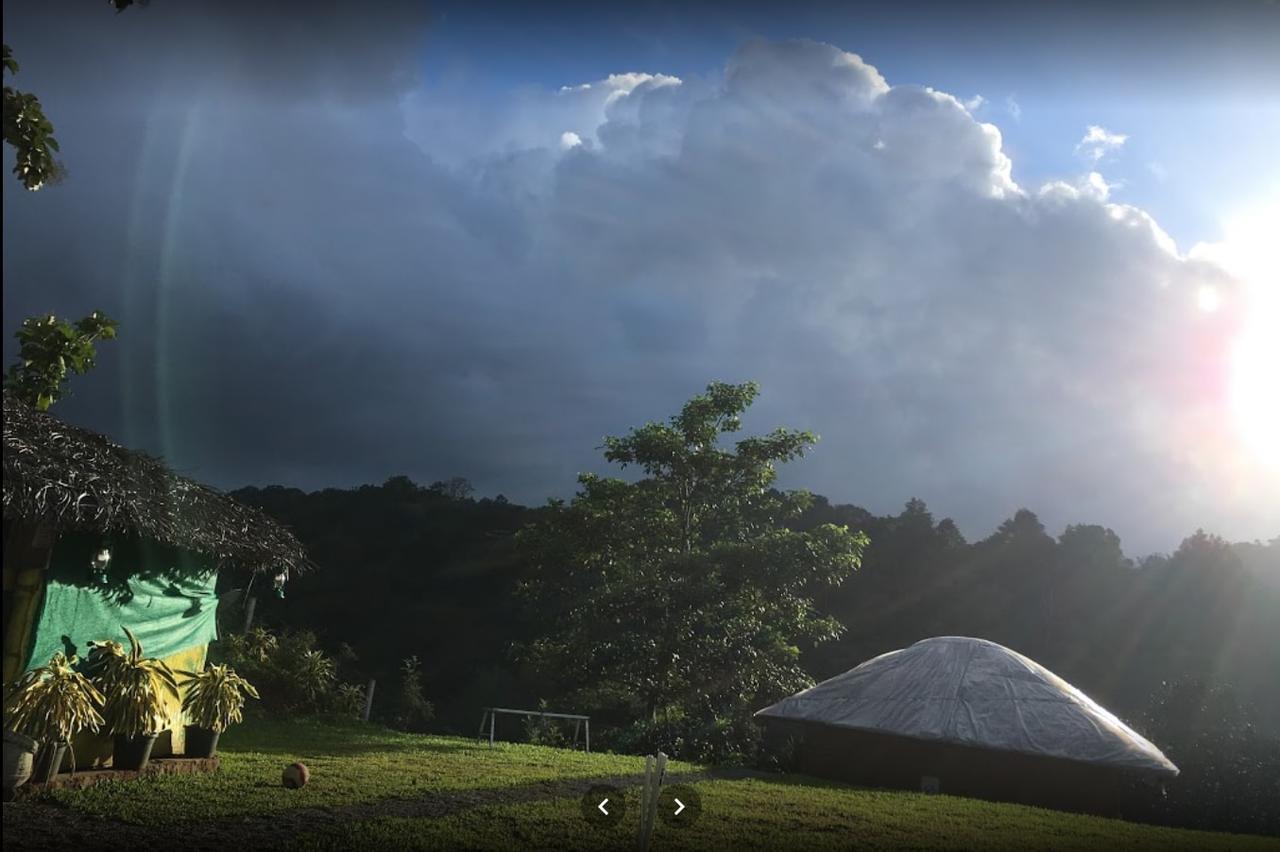 Oxyfarm Resorts Wayanad Exterior photo